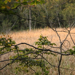 2024-10-06-afternoon-hike